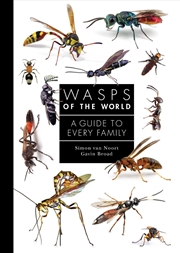 Buy Wasps of the World