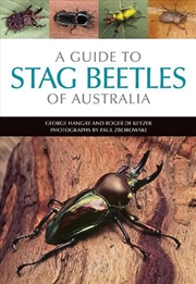 Buy A Guide to Stag Beetles of Australia