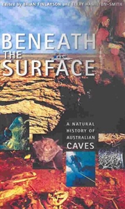 Buy Beneath the Surface