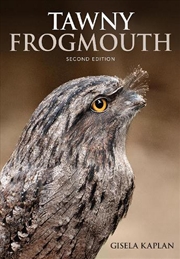 Buy Tawny Frogmouth