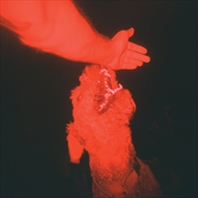 Buy A Trick of the Light