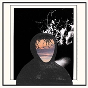 Buy All Portrait, No Chorus