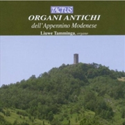 Buy Historic Organs Of Modena Italy
