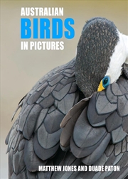 Buy Australian Birds in Pictures: Compact Edition