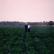 Buy Pink Silence - Pink Vinyl