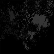 Buy Constellation Ritualistic Alta