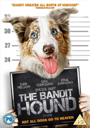 Buy Bandit Hound (REGION 2)
