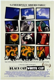 Buy Black Cat White Cat Emir Kusturica (REGION 2)