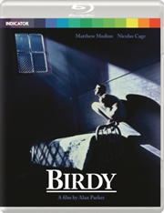 Buy Birdy