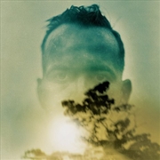 Buy Rabbit Runs A Destiny