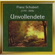 Buy Die Unvollendete