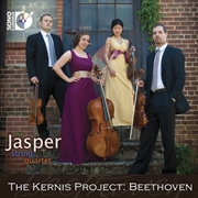 Buy Kernis Project