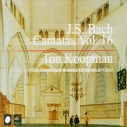 Buy V16: Complete Canatas