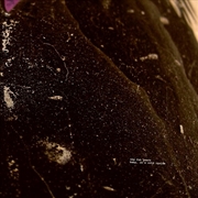 Buy Baby It's Cold Inside