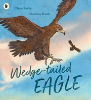 Buy Wedge-Tailed Eagle