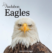 Buy Audubon Eagles Mini Wall Calendar 2026