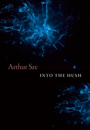 Buy Into the Hush