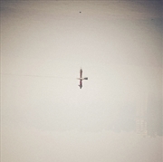 Buy Endling - Translucent Vinyl