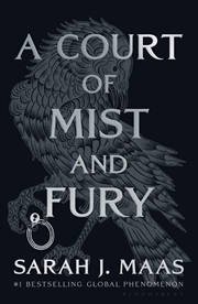 Buy A Court Of Mist And Fury: Night Court Edition