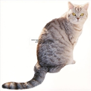 Buy What I Am And What I'm Not