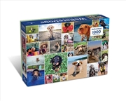 Buy WeRateDogs 1000 Piece Jigsaw Puzzle