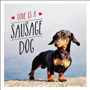 Buy Love is a Sausage Dog