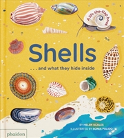 Buy Shells... and what they hide inside