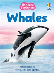 Buy Beginners Whales
