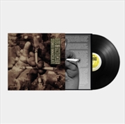 Buy Stoned Immaculate