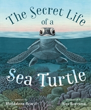 Buy The Secret Life Of A Sea Turtl
