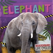 Buy Endangered Life Cycles: Elephant