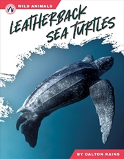 Buy Wild Animals: Leatherback Sea Turtles