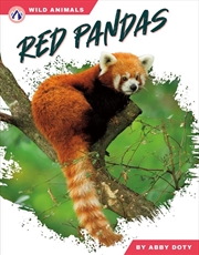 Buy Wild Animals: Red Pandas
