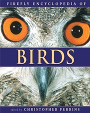 Buy Firefly Encyclopedia Of Birds