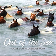 Buy Out Of The Sea: Today's Chincoteague Pony