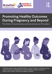 Buy Promoting Healthy Outcomes During Pregnancy And Beyond The Role Of Community And Social Service Prov