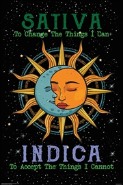 Buy Sativa Indica Poster