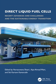 Buy Direct Liquid Fuel Cells Recent Advances And Challenges And The Sustainable Energy Transition