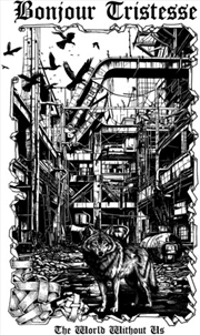 Buy World Without Us