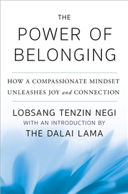 Buy The Power Of Belonging