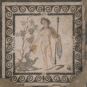 Buy Frenzy Of Bacchus