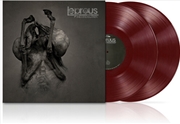 Buy Congregation