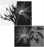 Buy New Environments & Rhythm Studies