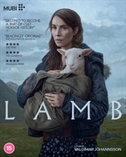 Buy Lamb