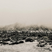 Buy Mnemonic: Ambient Mosaic