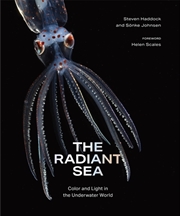 Buy The Radiant Sea