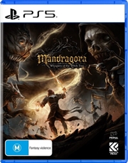 Buy Mandragora Whispers of the Witch Tree