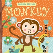 Buy Squishy Squeaky Monkey