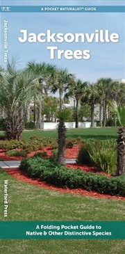 Buy Jacksonville Trees