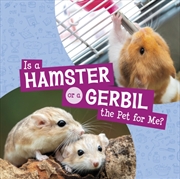 Buy Is A Hamster Or A Gerbil The Pet For Me?